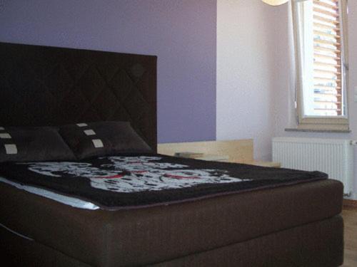 Apartament Stara Polana I Spa ザコパネ エクステリア 写真
