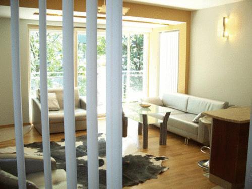 Apartament Stara Polana I Spa ザコパネ エクステリア 写真